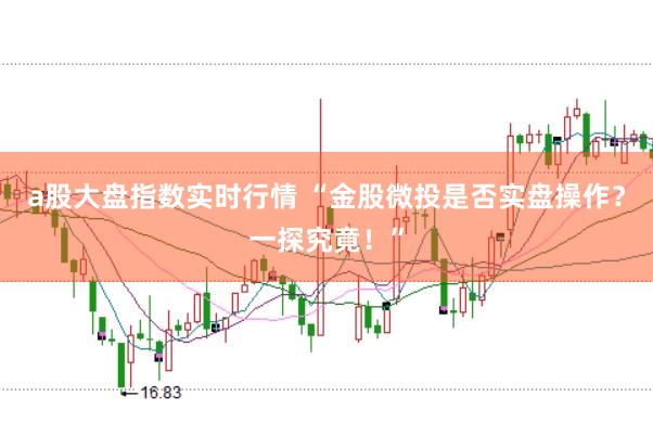 a股大盘指数实时行情 “金股微投是否实盘操作？一探究竟！”