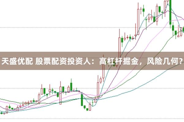 天盛优配 股票配资投资人：高杠杆掘金，风险几何？