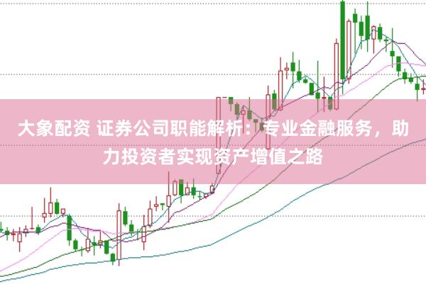 大象配资 证券公司职能解析：专业金融服务，助力投资者实现资产增值之路