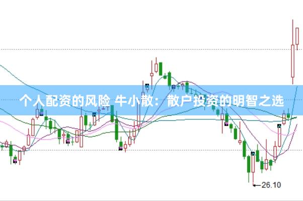 个人配资的风险 牛小散：散户投资的明智之选