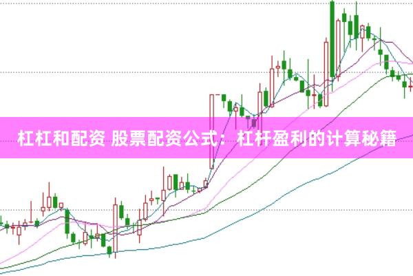 杠杠和配资 股票配资公式：杠杆盈利的计算秘籍