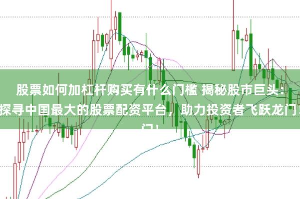 股票如何加杠杆购买有什么门槛 揭秘股市巨头：探寻中国最大的股票配资平台，助力投资者飞跃龙门！