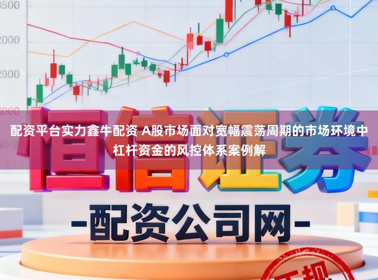 配资平台实力鑫牛配资 A股市场面对宽幅震荡周期的市场环境中杠杆资金的风控体系案例解